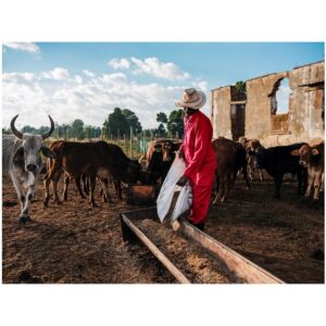 Trade Polycotton Conti Suit - Image 5