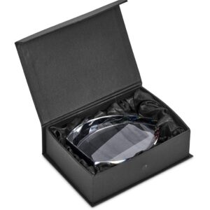 Altitude Trident Award - Image 6