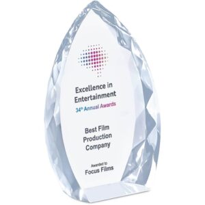 Altitude Trident Award - Image 4