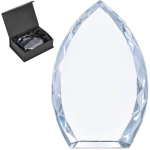 Altitude Trident Award - Image 8