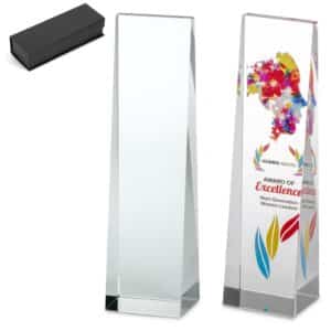 Altitude Hubris Award — Altitude Hubris Award