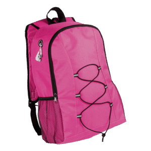 Lendross Backpack - Image 2