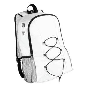 Lendross Backpack - Image 4