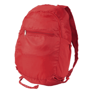 Stash Backpack
