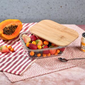 Okiyo Moshi Glass & Bamboo Lunch Box - Image 2
