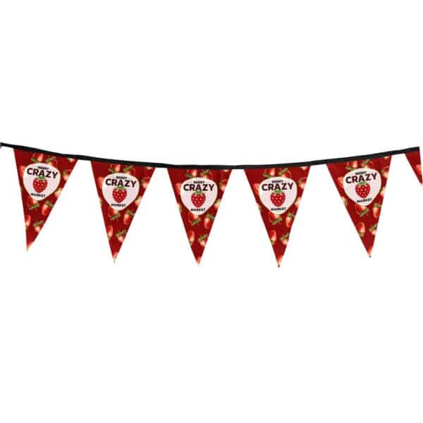 Sublimated Single-Sided Polyester Triangle Bunting 10m — Sublimated Single-Sided Polyester Triangle Bunting 10m