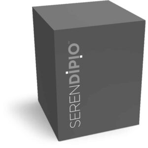 Serendipio Sheridan Stainless Steel Vacuum Tumbler - 300ml - Image 2