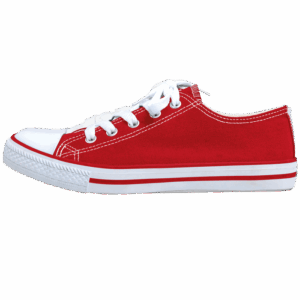 Barron Canvas Lace Up Shoe - Image 3