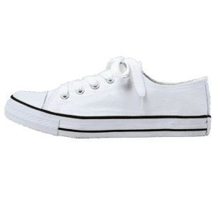 Barron Canvas Lace Up Shoe - Image 4