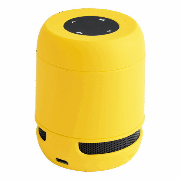 Braiss Bluetooth Speaker