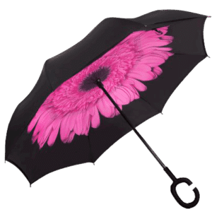 Printed Reversible Umbrella - Image 2