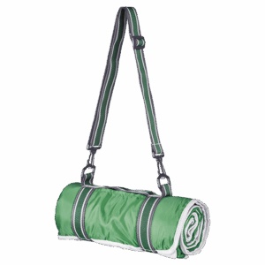 Master Picnic Blanket
