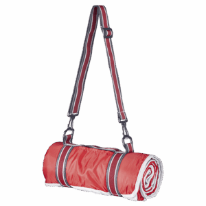 Master Picnic Blanket - Image 3