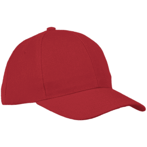 6 Panel Raven Cap - Image 2