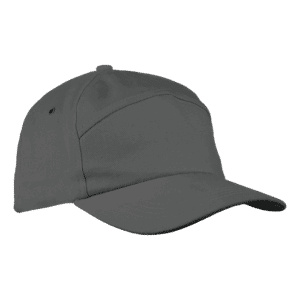6 Panel Carbon Cap - Image 4