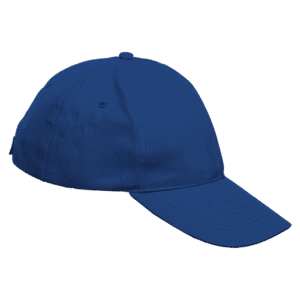5 Panel Boost Cap - Image 2