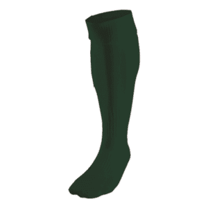 BRT Team Sock - Image 11