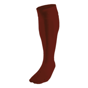 BRT Team Sock - Image 10