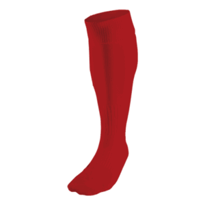 BRT Team Sock - Image 9
