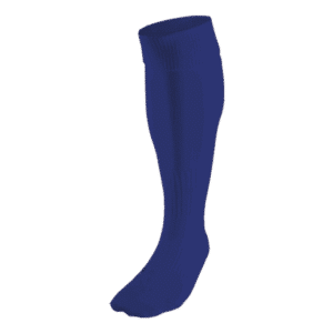 BRT Team Sock - Image 2