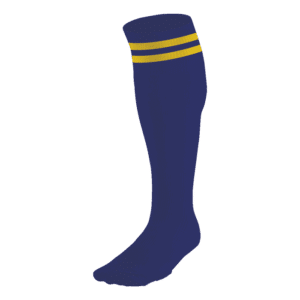 BRT Pace Sock - Image 2