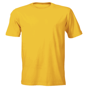 160g Wise-Buy 100% Cotton T-Shirt Promo Fit