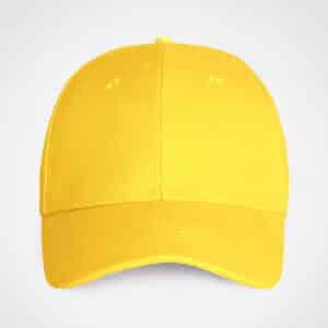 Promo 6 Panel Cap - Image 23