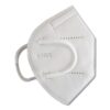 0011162_kn95-face-mask-carton-of-1000-while-stock-last-1.jpeg