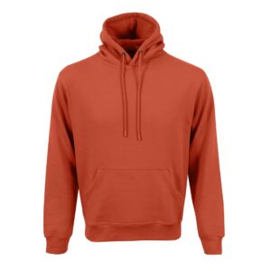 Unisex Phoenix Hoodie - Image 27