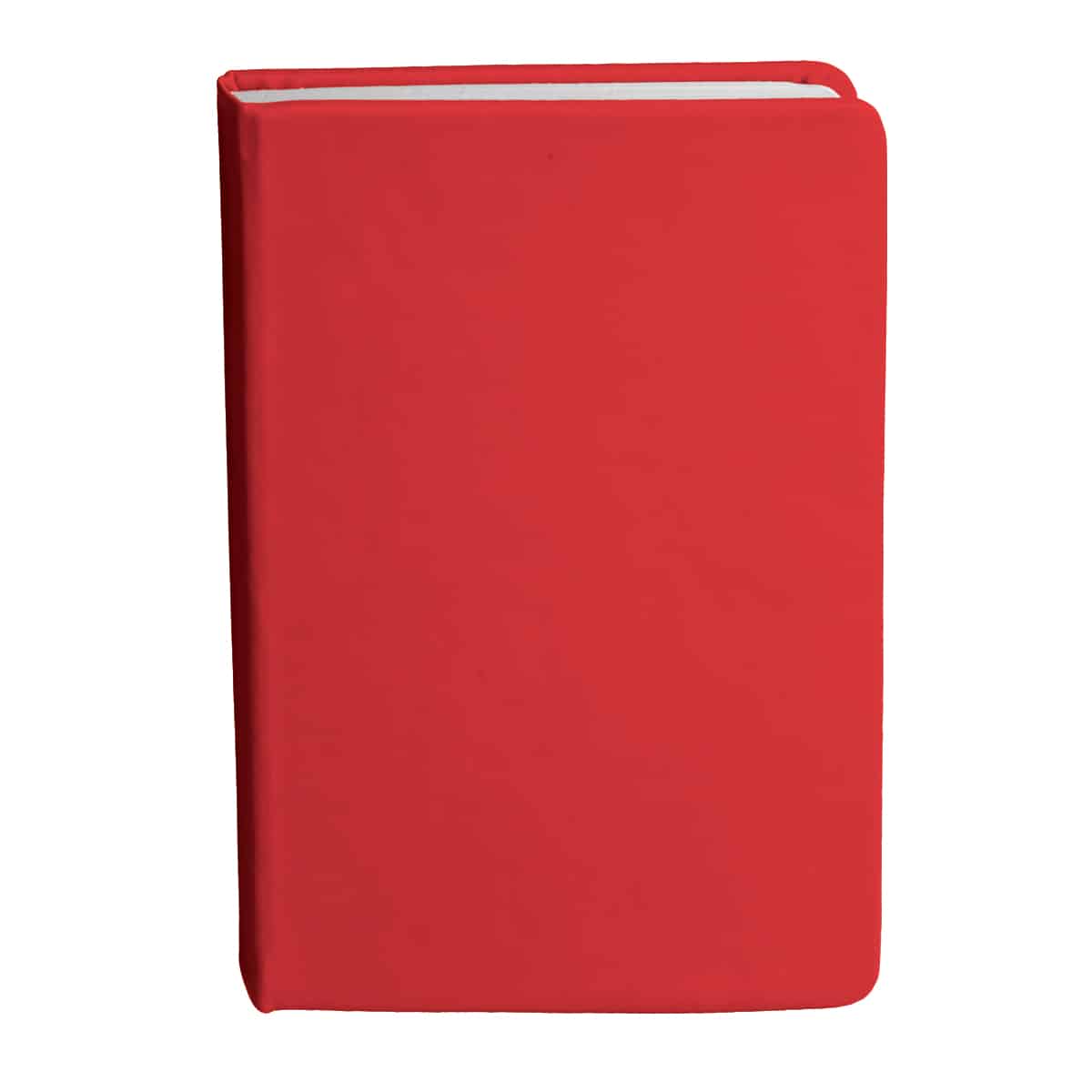 Bingham Notebook - Image 9