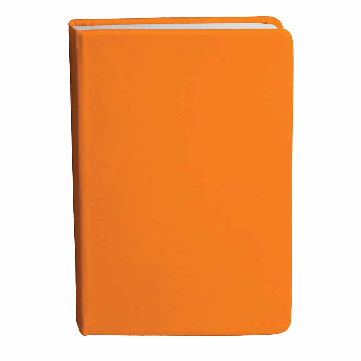 Bingham Notebook - Image 5