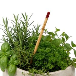 Herb Seed Pencil — AUTO-DRAFT