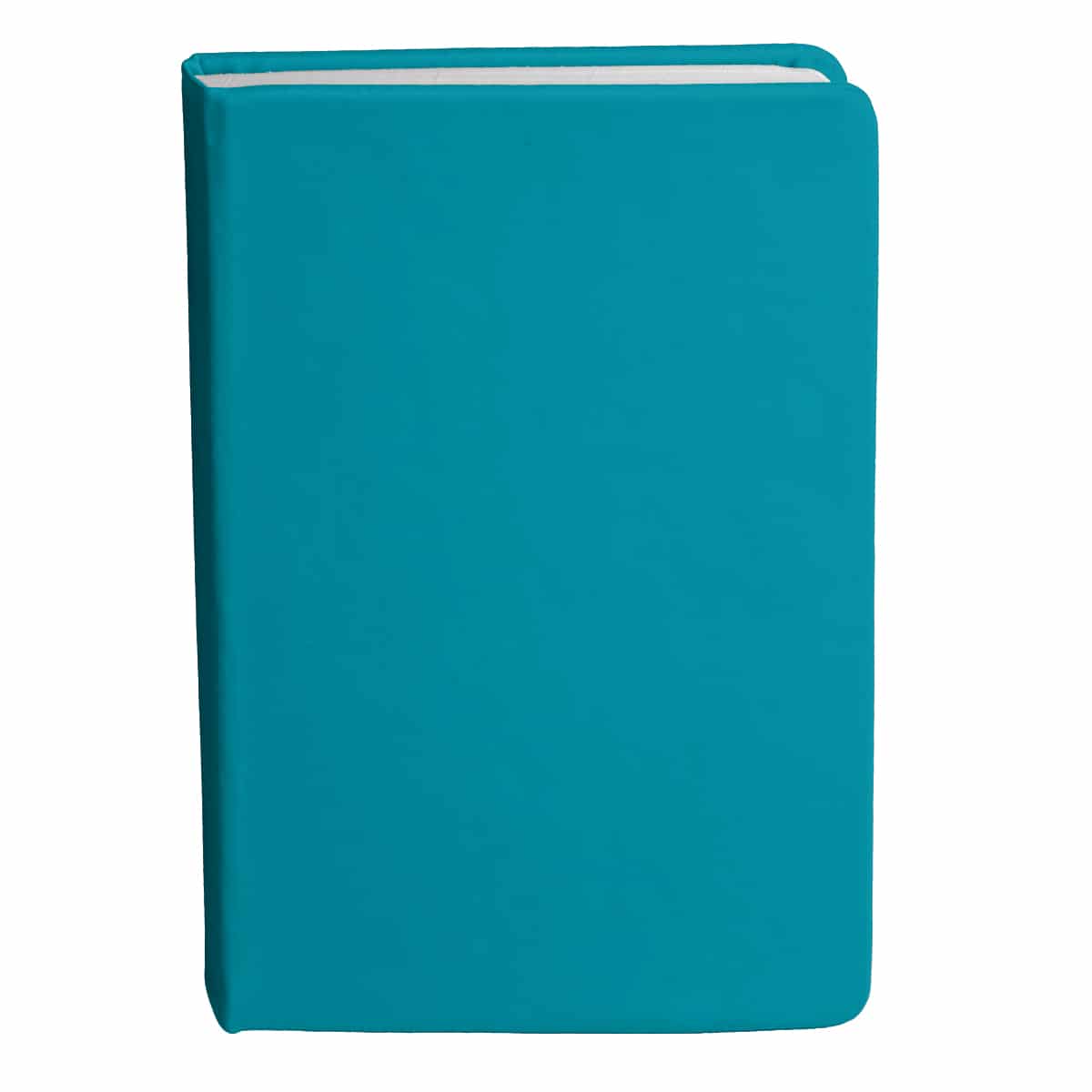 Bingham Notebook - Image 10
