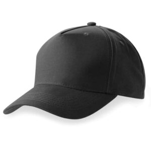 Alternative view of 5 Panel Cap