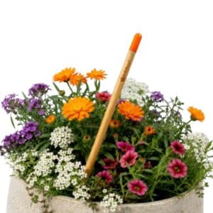Flower Seed Pencil — AUTO-DRAFT