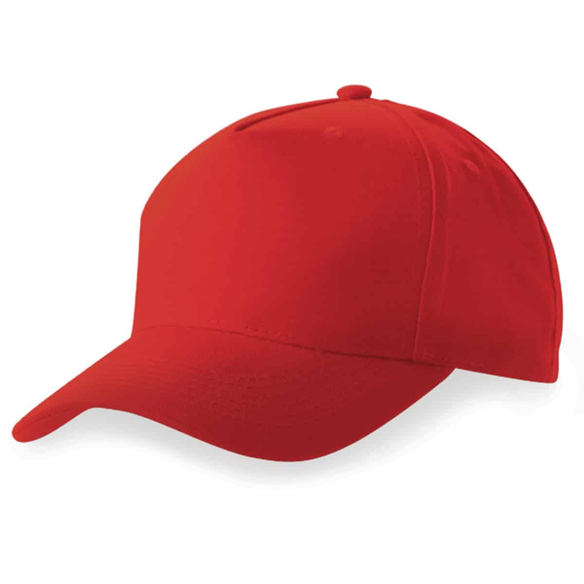 5 Panel Cap - Image 8