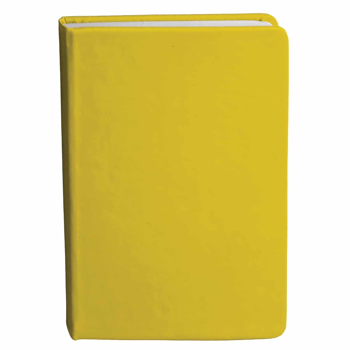 Bingham Notebook - Image 13
