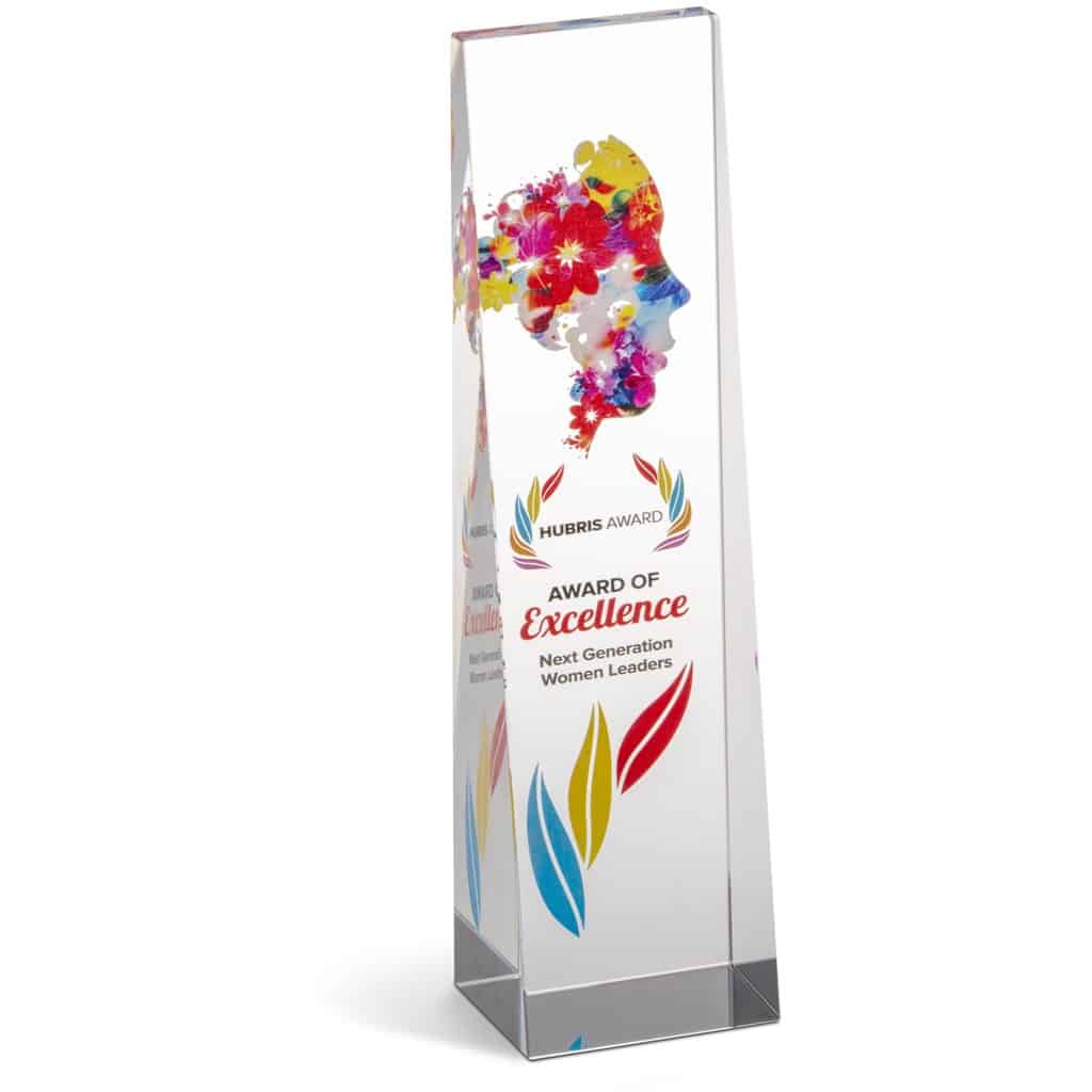 Altitude Hubris Award - Image 3