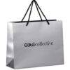 Altitude Majesty Midi Paper Gift Bag — Altitude Majesty Midi Paper Gift Bag