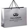 Altitude Majesty Maxi Paper Gift Bag — Altitude Majesty Maxi Paper Gift Bag