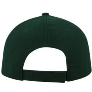 Fade Resistant Cap - Image 10