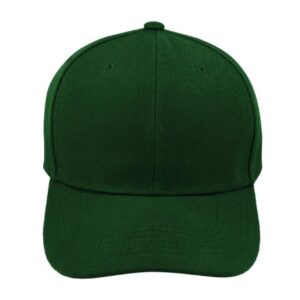 Value Fade Resistant Cap - Image 11