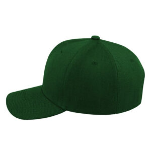 Value Fade Resistant Cap - Image 12