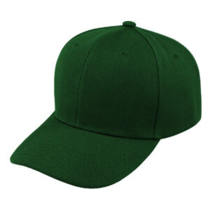 Value Fade Resistant Cap - Image 14
