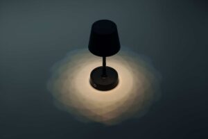 TAPLAMB - Image 3