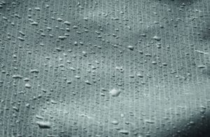 BOLSAIBLE - Image 21