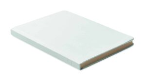 SUGAR - Image 7