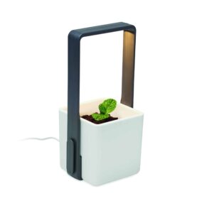 LUSHLET - Image 4