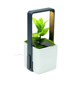 LUSHLET - Image 6