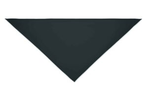 BANDANA BANDIDO - Image 14